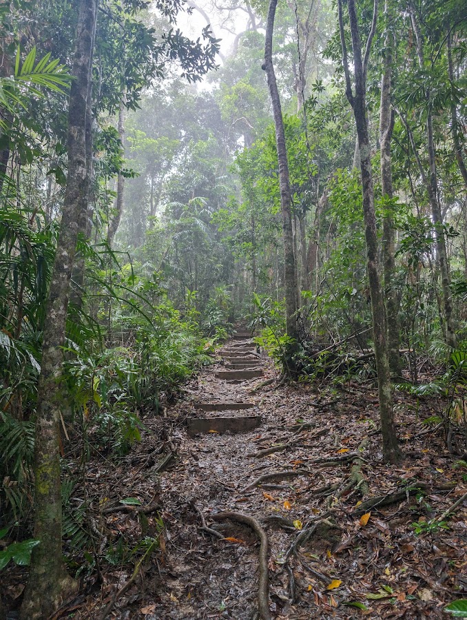 Mount Whitfield Conservation Park