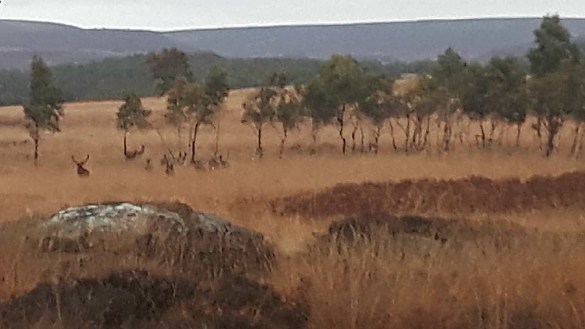 Froggatt Lookout