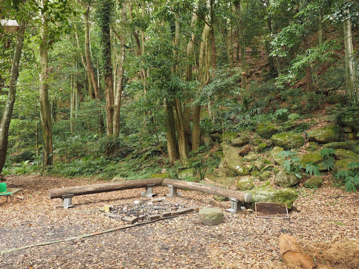Scout Camp