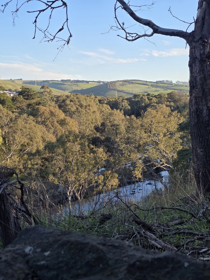 Barwon Valley Lookout