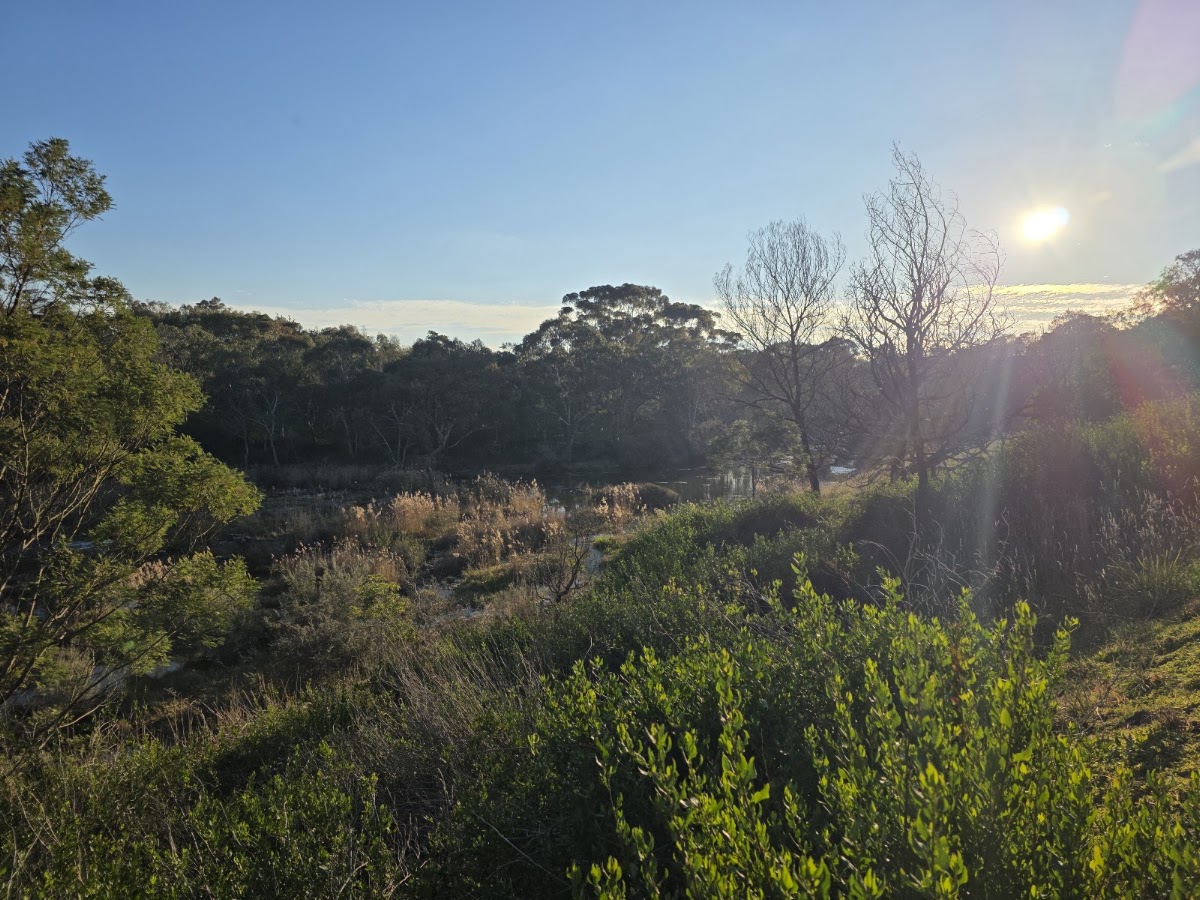 Barwon Valley Lookout