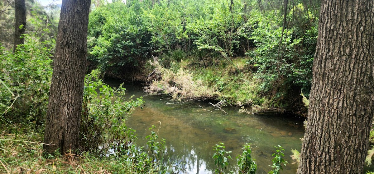Millar Vale Creek Park
