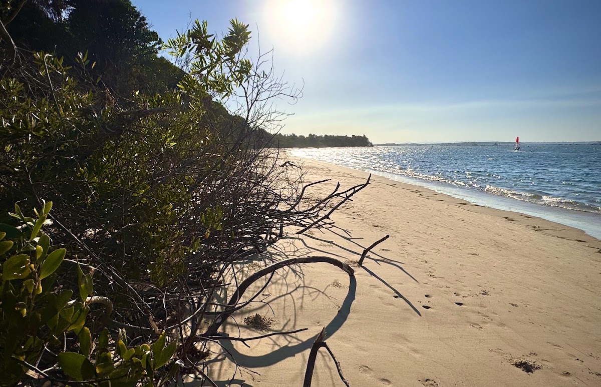 Whiting Beach