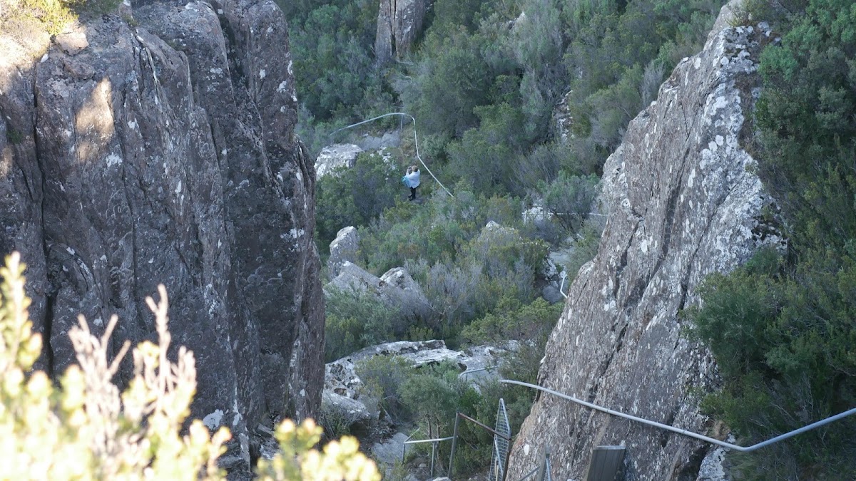 Watchtower Lookout