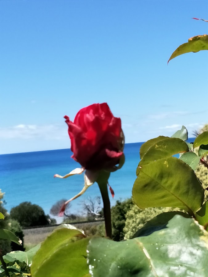 Preservation Bay Beach