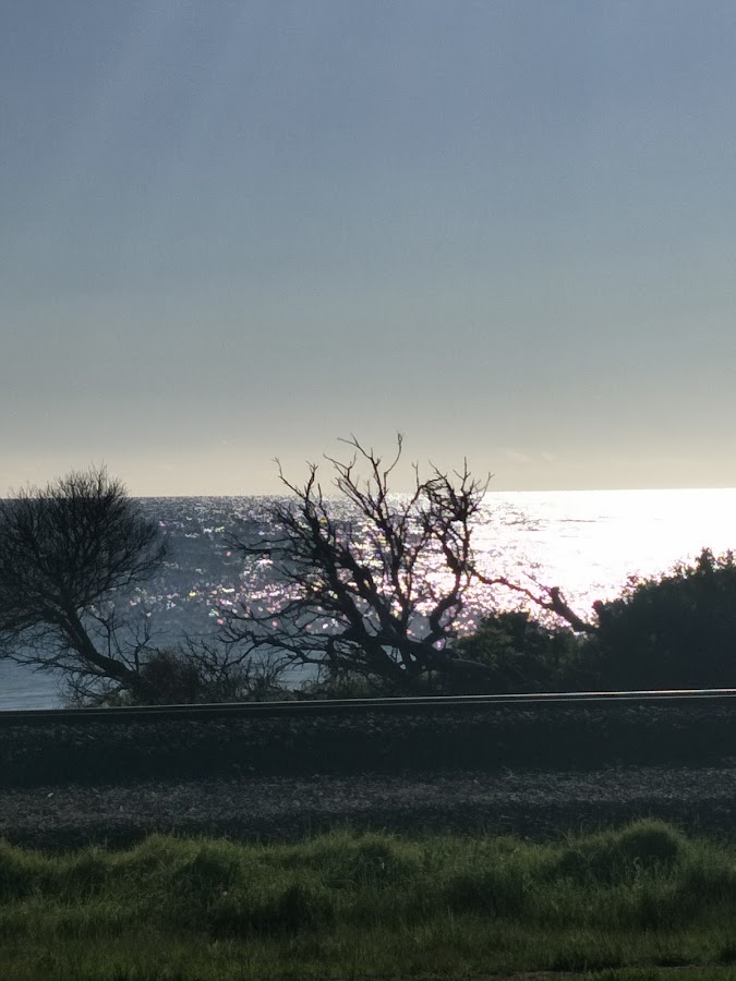 Preservation Bay Beach