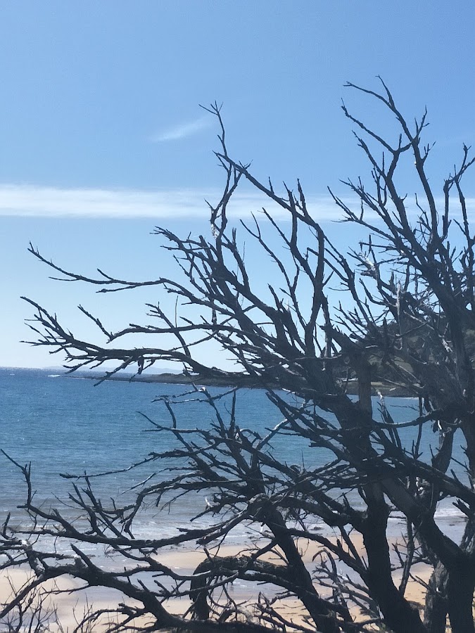 Preservation Bay Beach