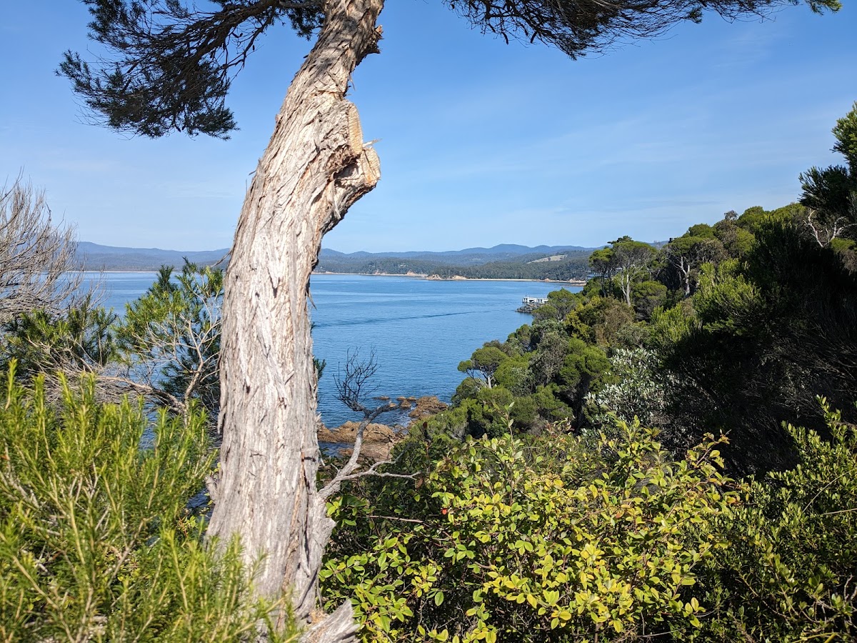Eden Lookout