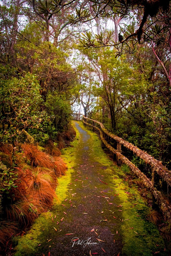 New England National Park
