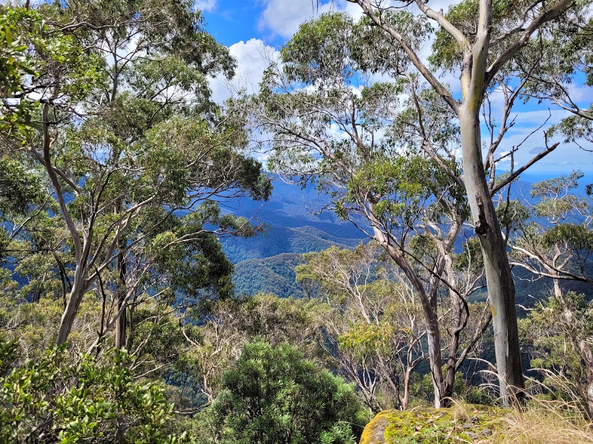 New England National Park