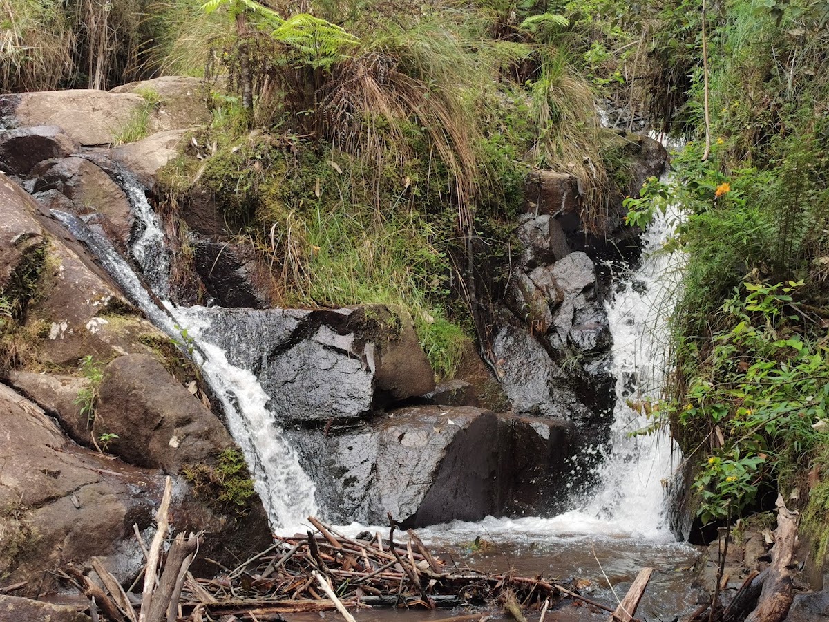 Olinda Creek waterfall lower