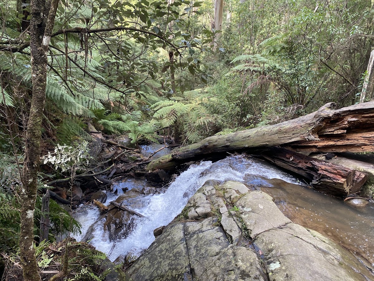 Olinda Creek waterfall lower