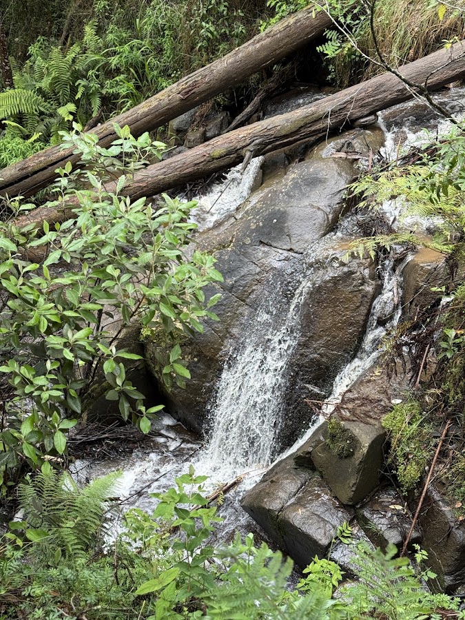 Olinda Creek waterfall lower