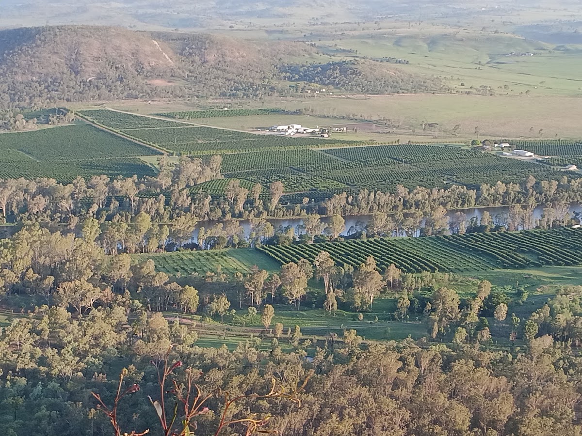 McConnell Lookout