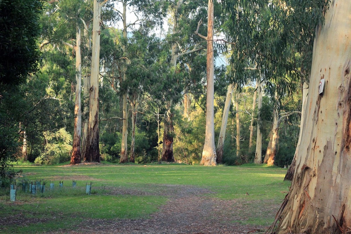Doon Reserve Caravan Park