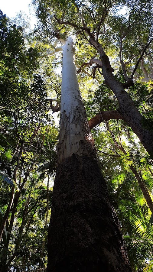 Yarriabini National Park