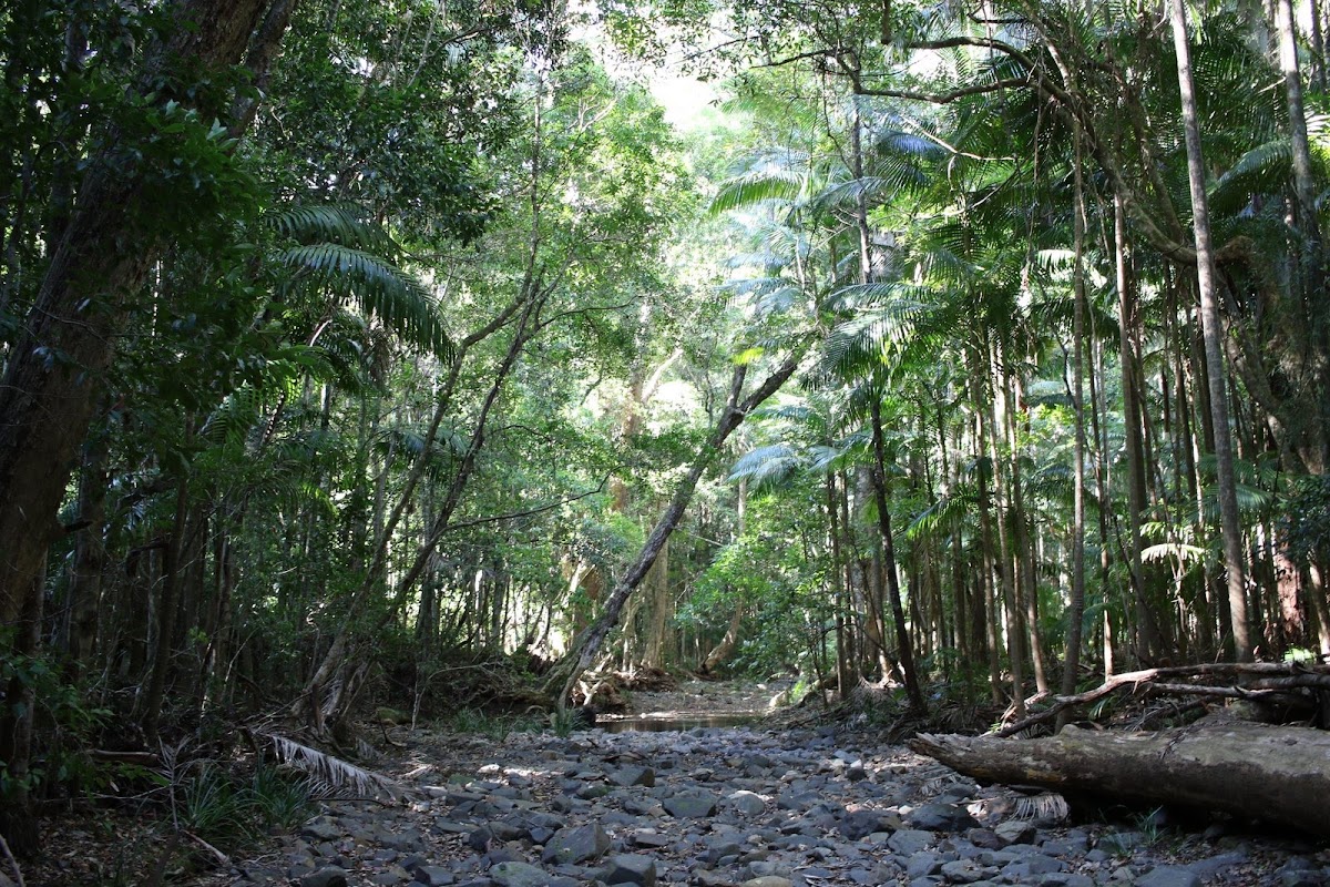 Yarriabini National Park