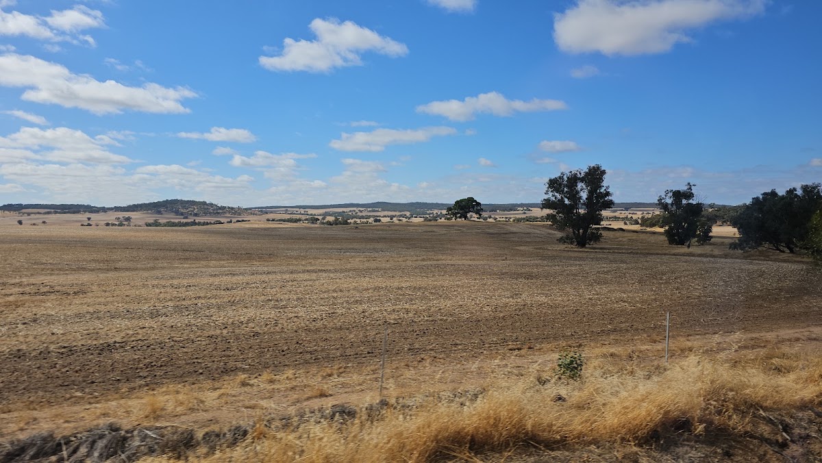 Pingelly Caravan Park