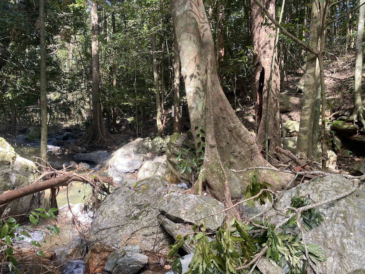 Asbeel Falls