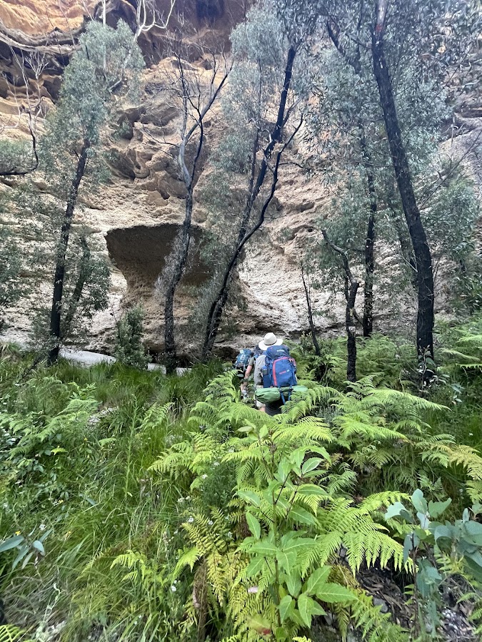 Burrumbeet Brook camp site