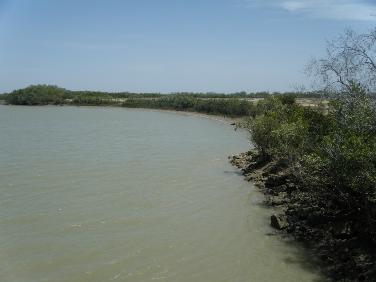 Finucane Island National Park