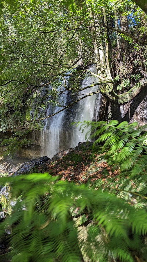 Upper Preston Falls
