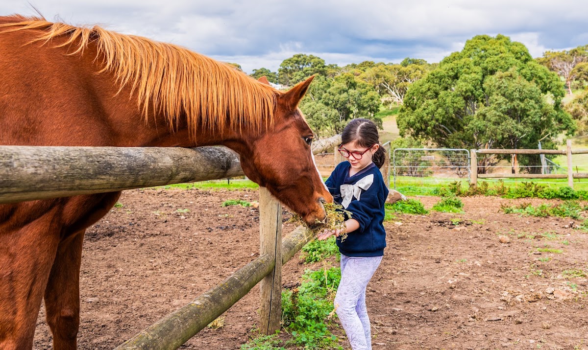Wirraway Homestead - BaptistCare