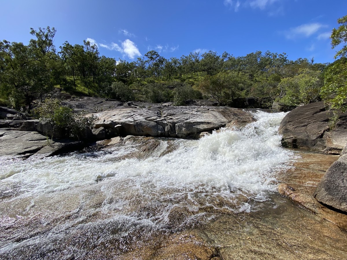 Davies Creek National Park