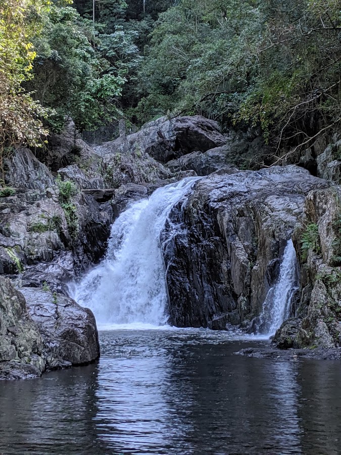 Davies Creek National Park