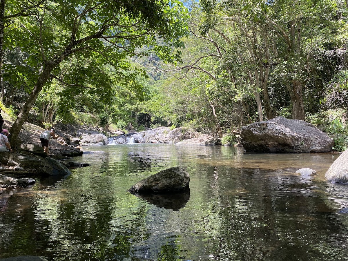 Davies Creek National Park