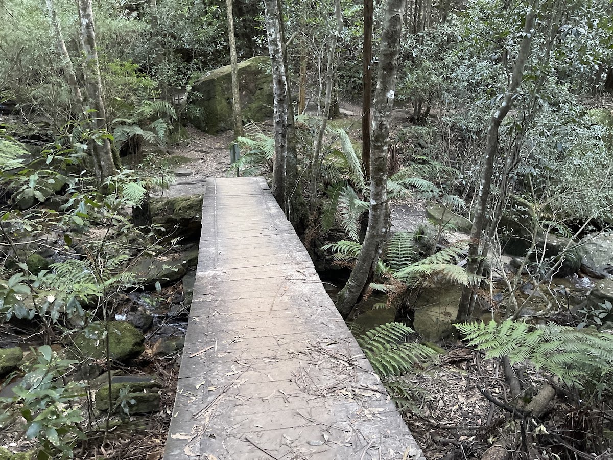 Babbage Falls