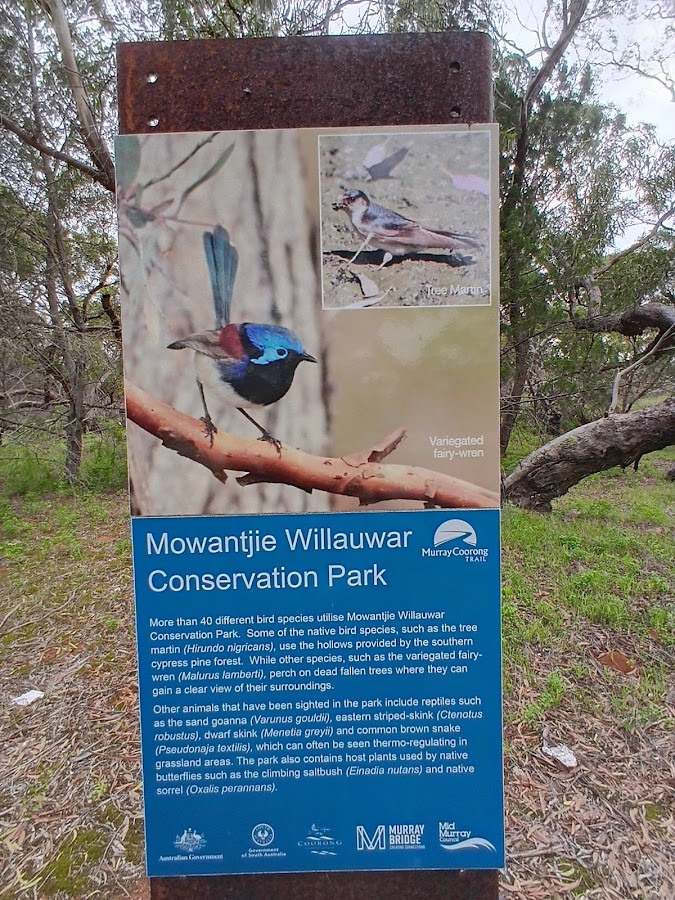 Mowantjie Willauwar Conservation Park