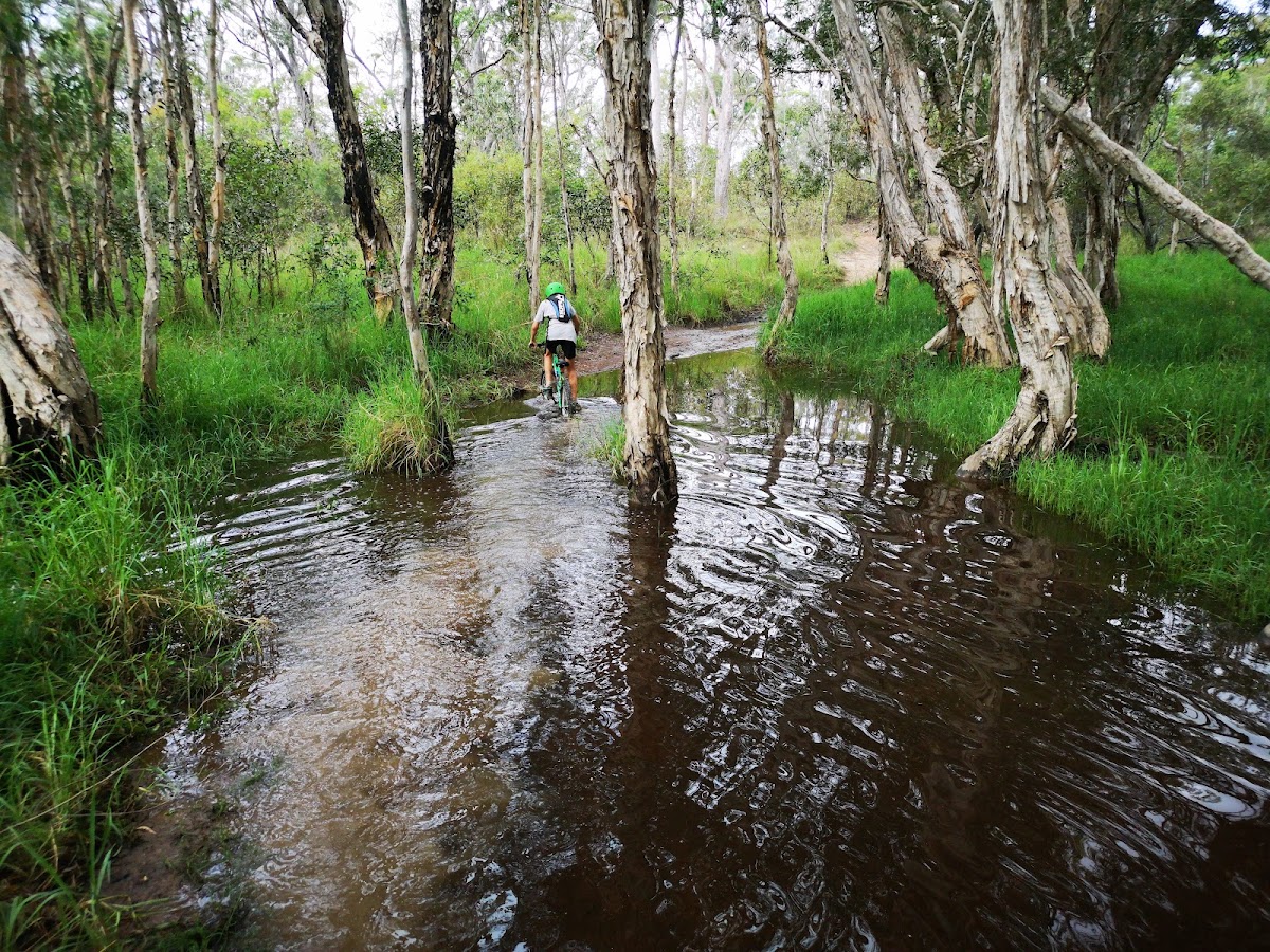 Vernon Conservation Park