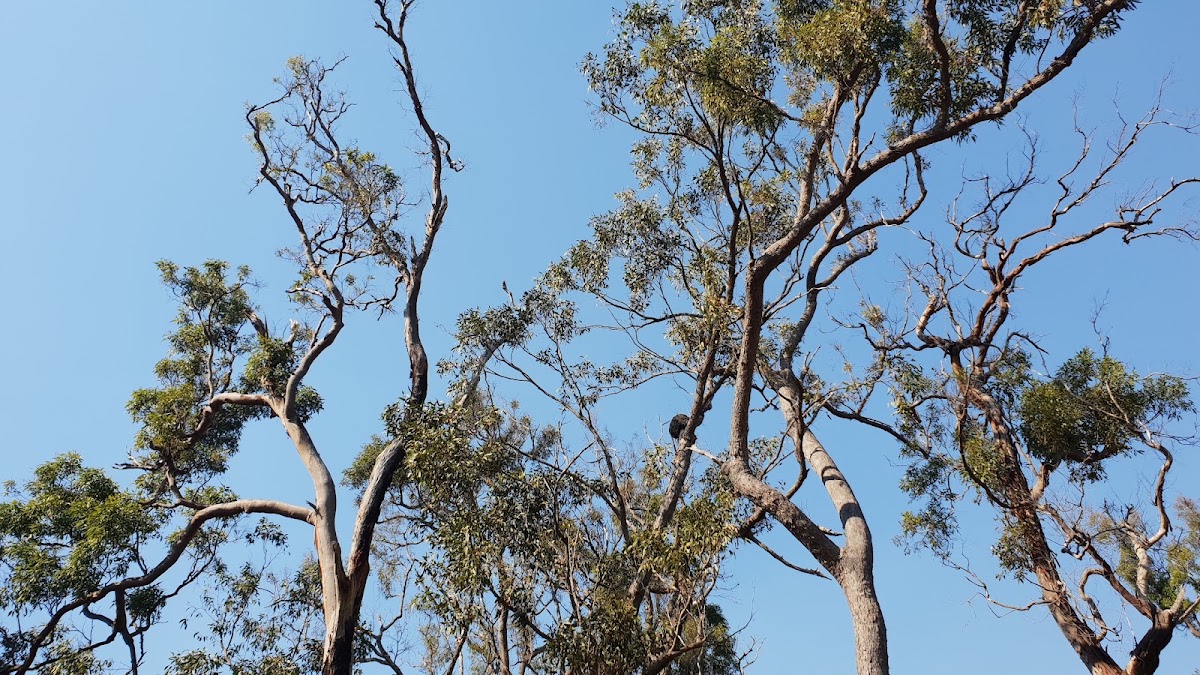 Vernon Conservation Park