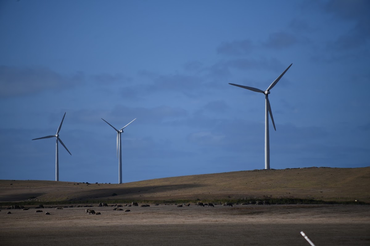 Codrington Windfarm Viewing Area