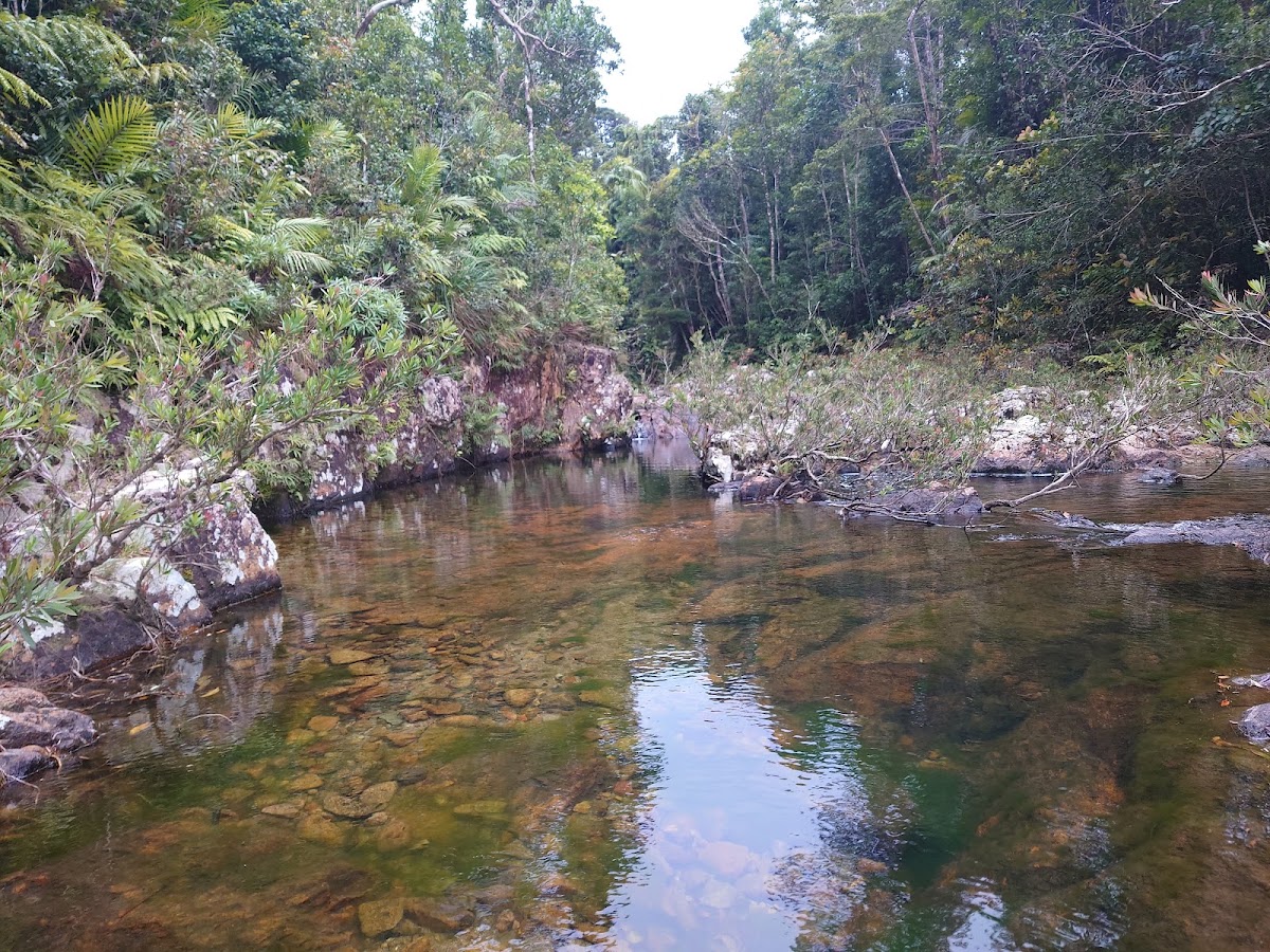 Elphinstone Creek Falls