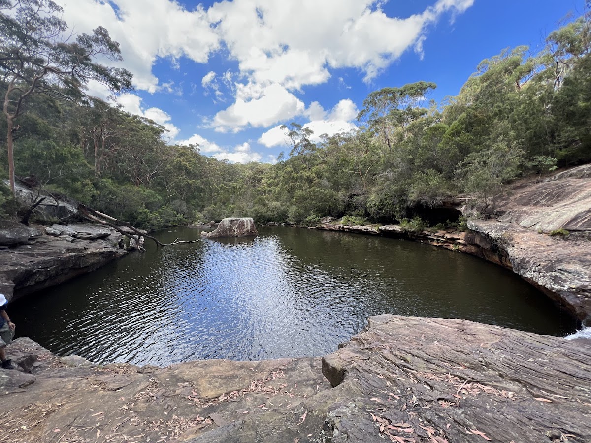 Dharawal National Park