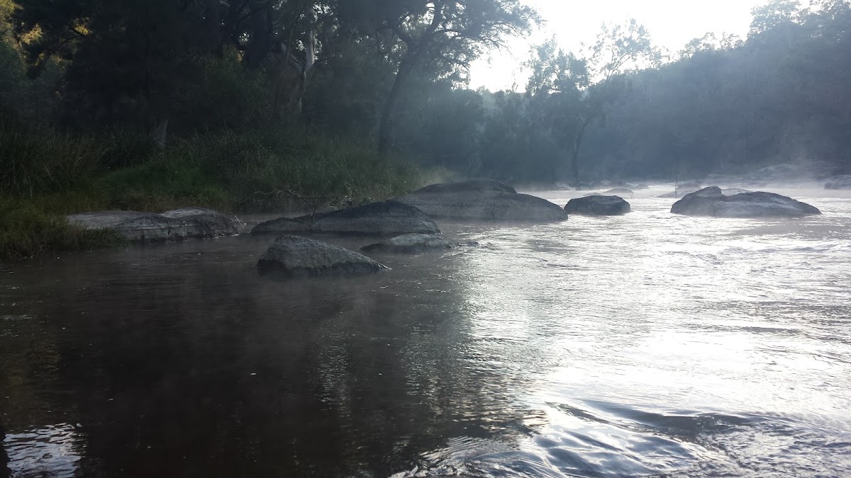 Warranmadhaa National Park