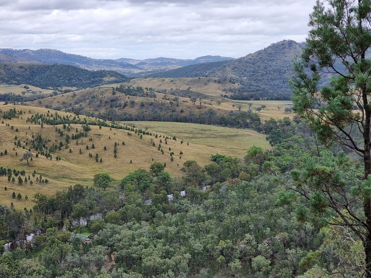 Warranmadhaa National Park