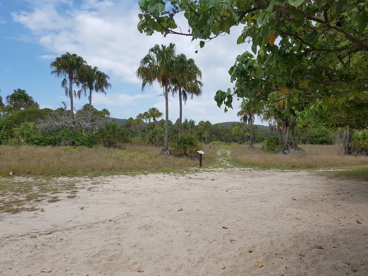 Conical Island Camping Area