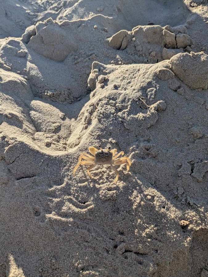 Ten Mile Beach