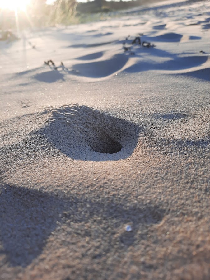Ten Mile Beach