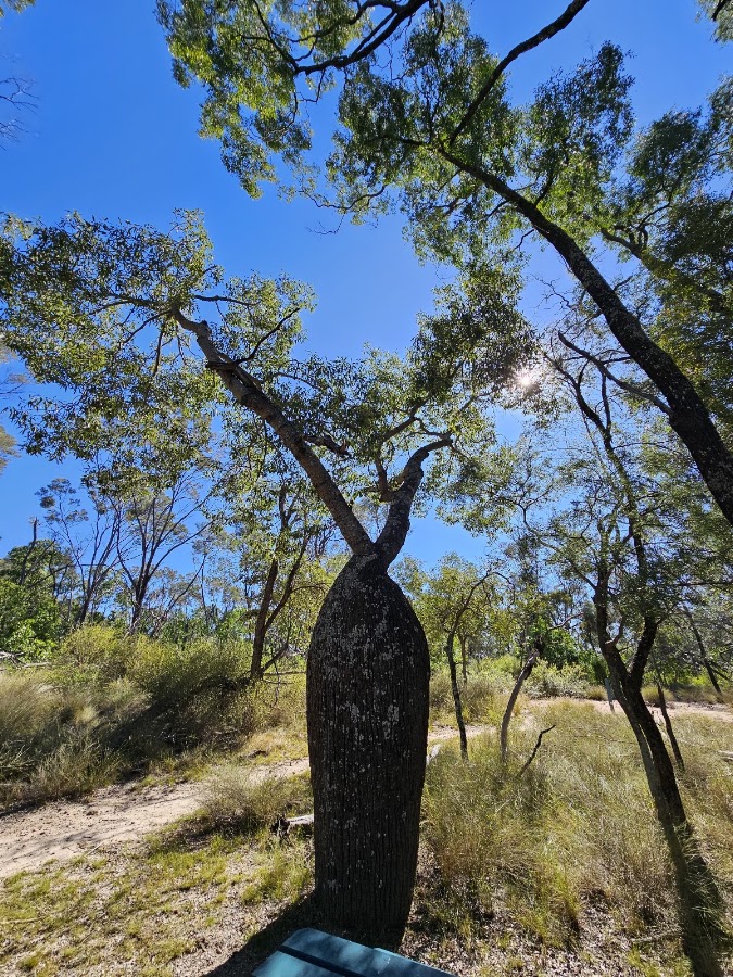 Tregole National Park