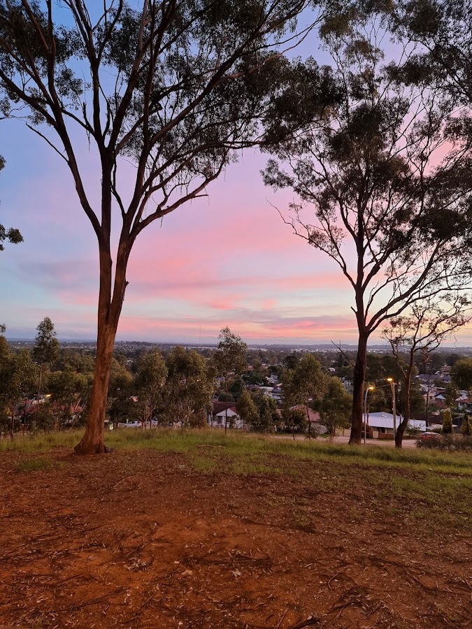 Lions Lookout