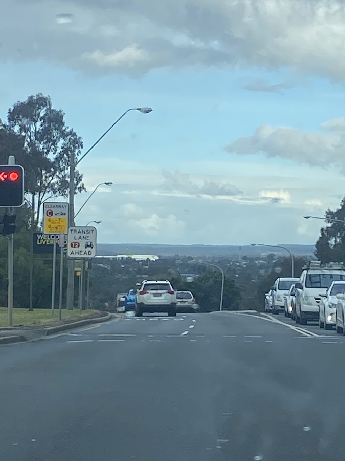 Lions Lookout