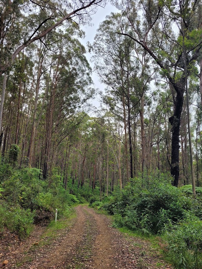 Barool National Park