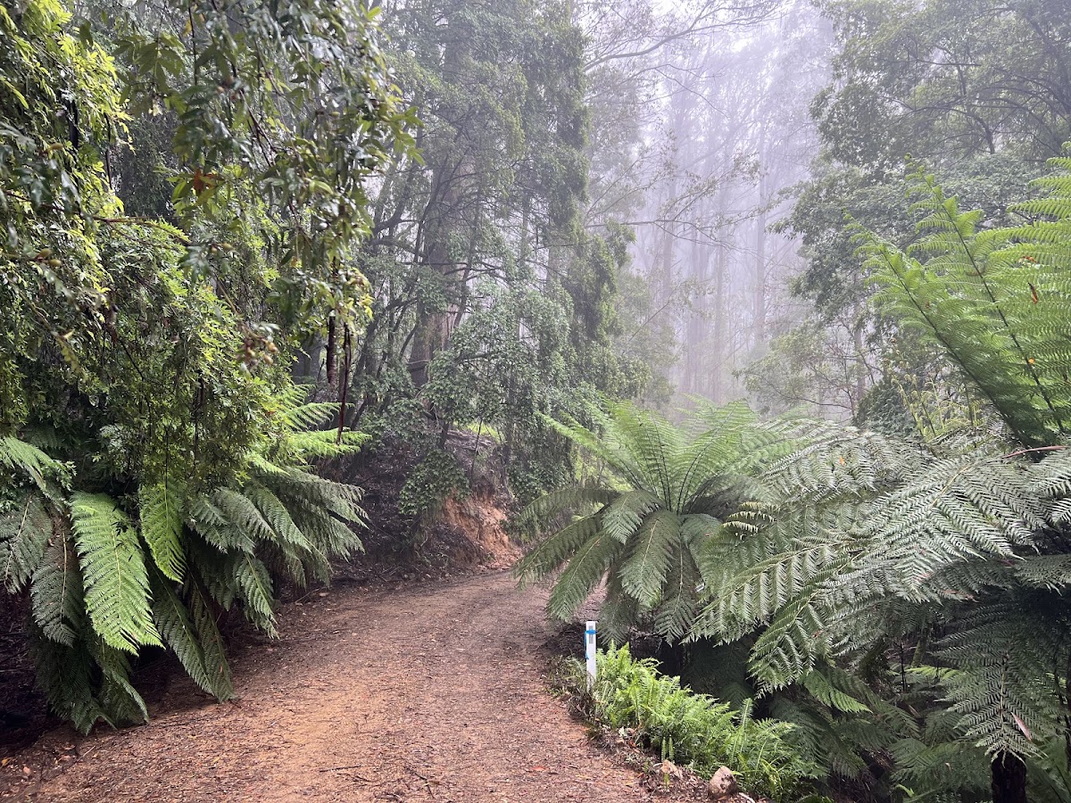 Monga National Park