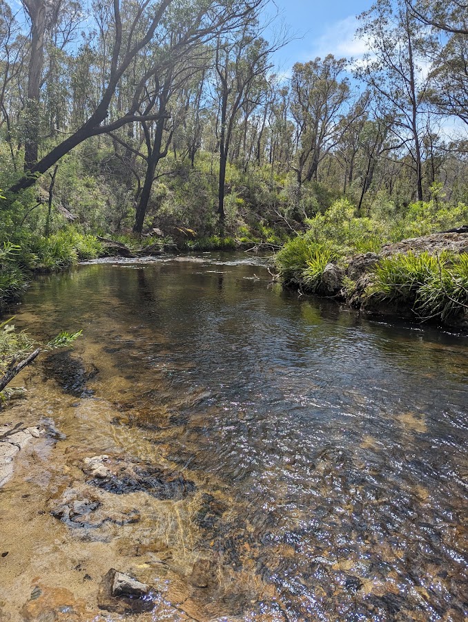 Monga National Park