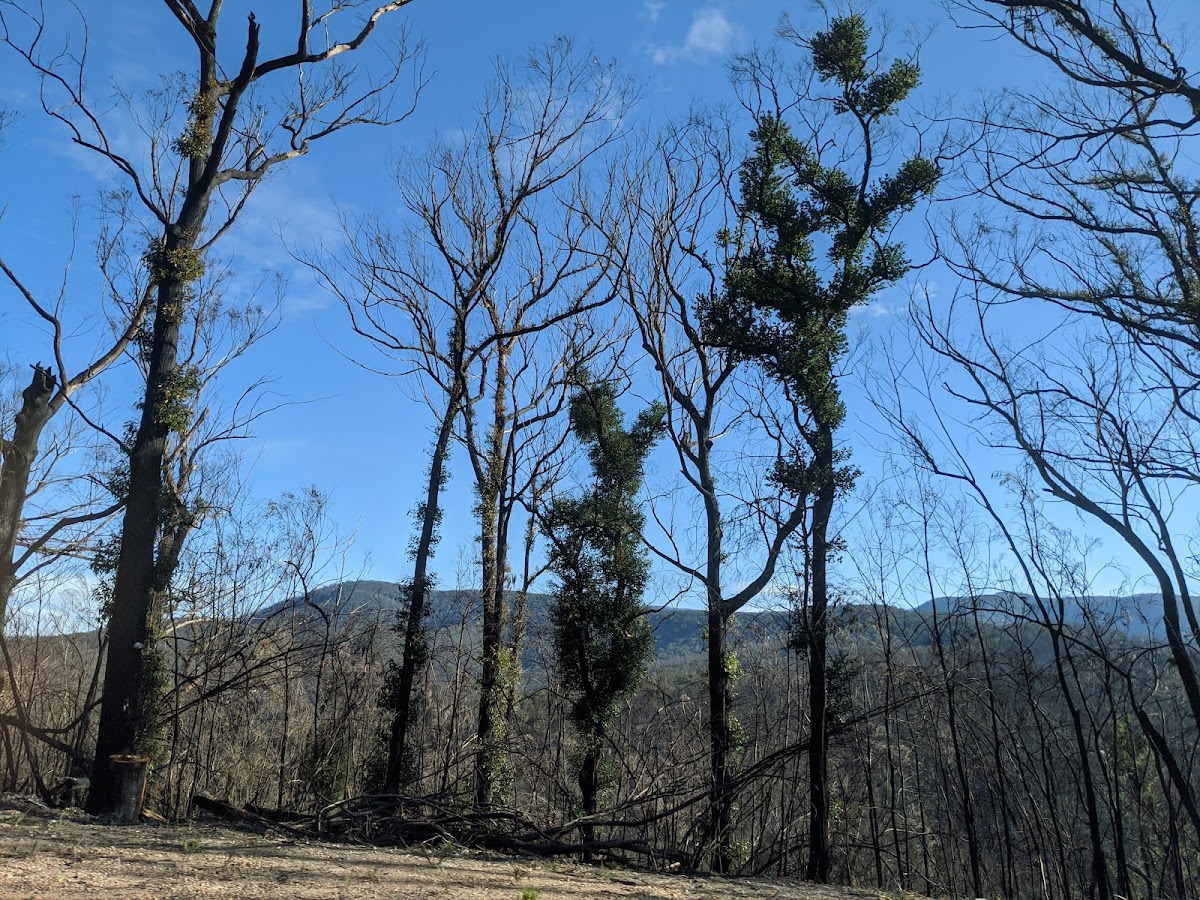 Monga National Park