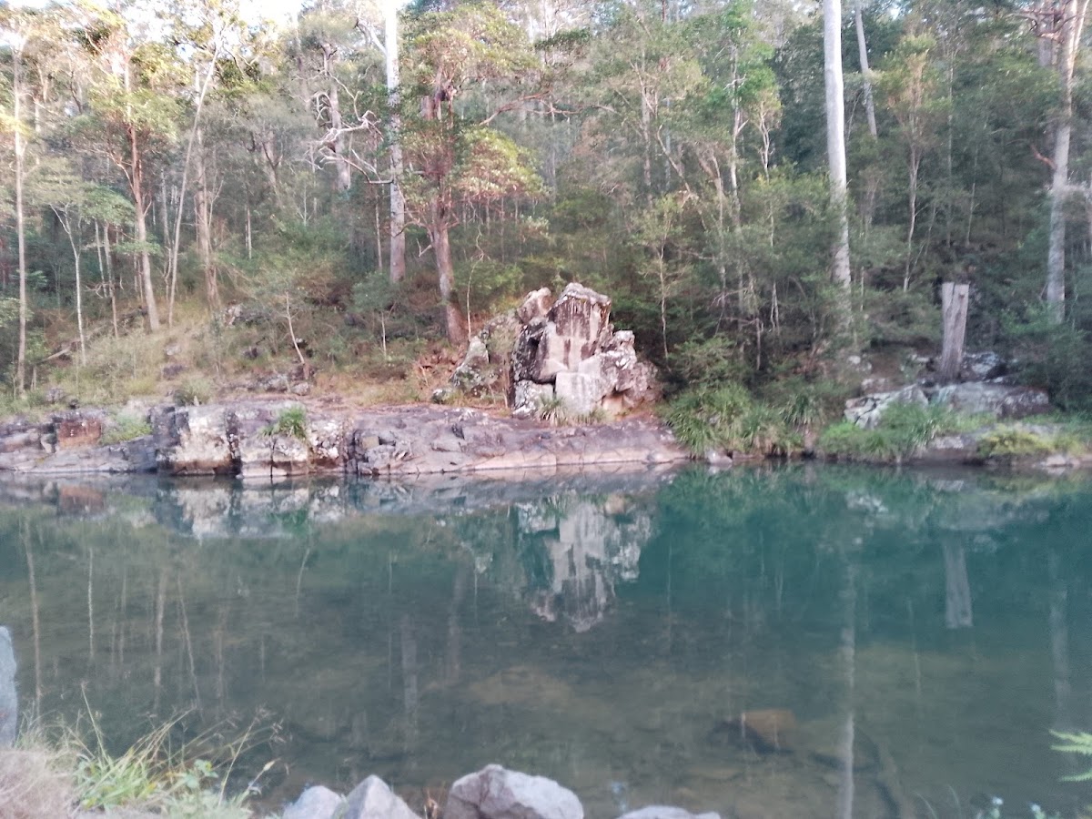 Bellthorpe National Park